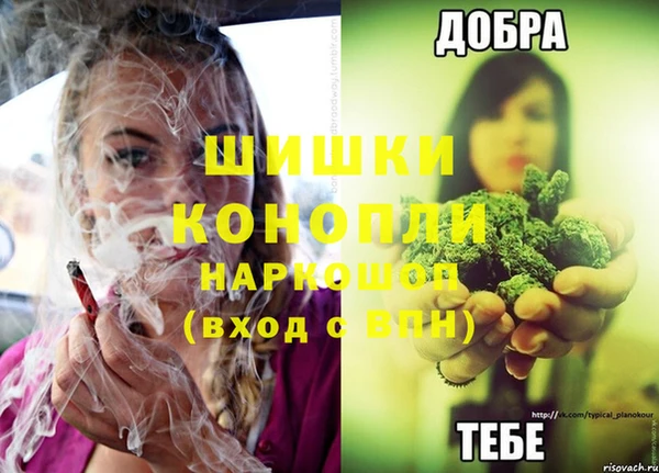 круглые Аркадак